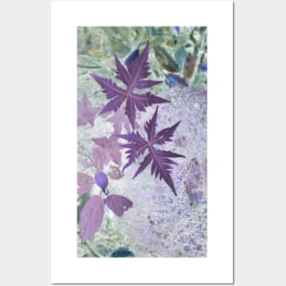 Rain forest fern Posters and Art